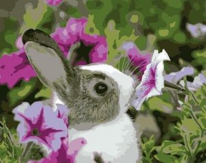 Bunny And Flowers Paint By Numbers