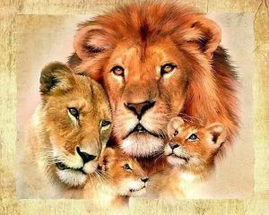 Lion Family Paint By Numbers