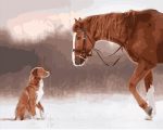 Horse And Dog Paint By Numbers