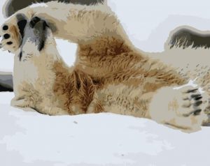 Snow Polar Bear Paint By Numbers