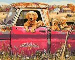 Dogs In Trucks Animals Paint By Numbers