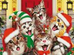 Funny Christmas Cats Paint By Numbers