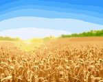 Wheat Field Paint By Numbers