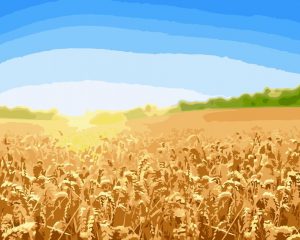 Wheat Field Paint By Numbers