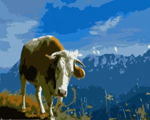 Dairy Cow In Mountain Peak Paint By Numbers