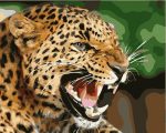 Predatory Leopard Paint By Numbers