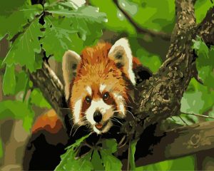 Red Panda On Tree Paint By Numbers