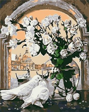 White Pigeon At Window  Birds Paint By Numbers