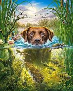 Dog Swimming Paint By Numbers
