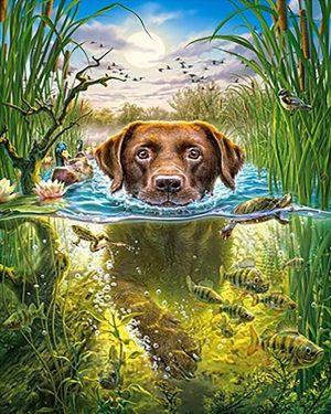 Dog Swimming Paint By Numbers