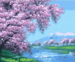 Cherry blossom And River Paint By Numbers