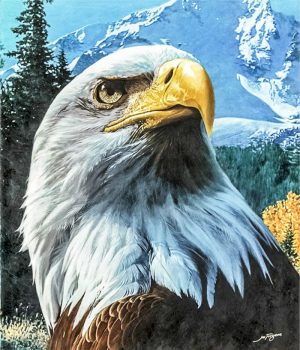 Eagle looks up Birds Paint By Numbers