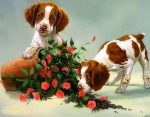 Dogs And Vase Paint By Numbers