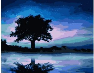 Night Tree Reflection Paint By Numbers