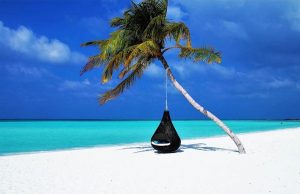 Maldives Palm Tree Hammock Paint By Numbers