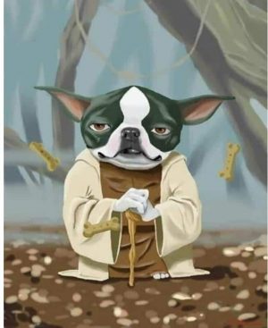 Boston Terrier Paint By Numbers