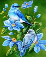 Blue Birds On Flowers Paint By Numbers