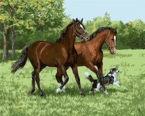 Two Horses And Dog Paint By Numbers