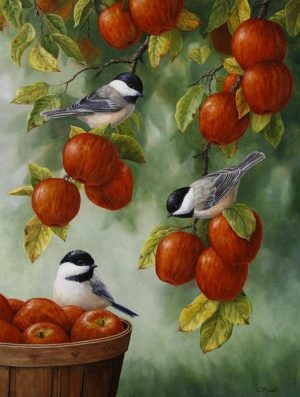 Apple Tree And Birds Paint By Numbers