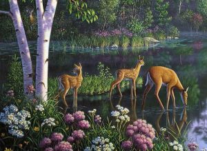 Deer Drink in Forest Animals Paint By Numbers