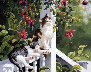Two Cats Paint By Numbers