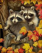 Two Racoons Paint By Numbers