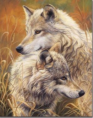 Wolves Couple Paint By Numbers