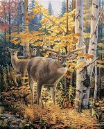 Forest Deer Paint By Numbers