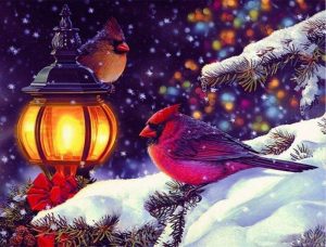 Cardinals In Snow Paint By Numbers