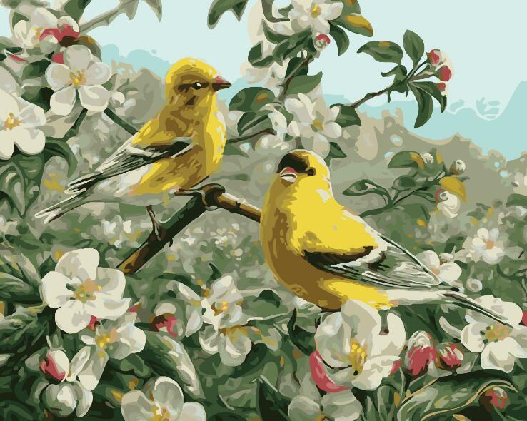 Goldfinch Birds Paint By Numbers