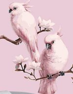 Pink Parrots Paint By Numbers