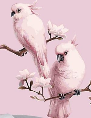 Pink Parrots Paint By Numbers