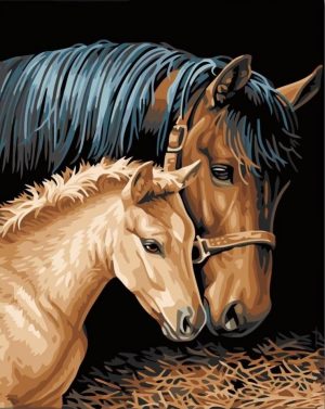 Horse And Foal Paint By Numbers