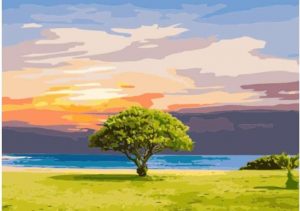 Tree In Grassland Paint By Numbers