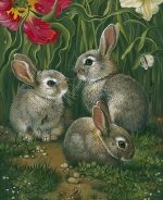 Three Grey Rabbits Paint By Numbers