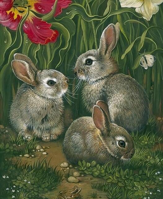 Three Grey Rabbits Paint By Numbers