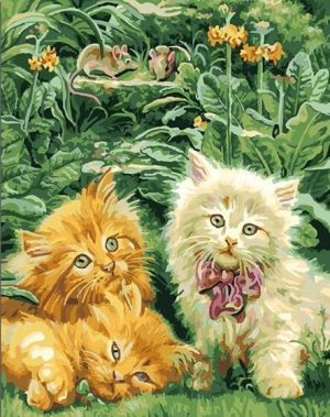 Cute Kitties Paint By Numbers