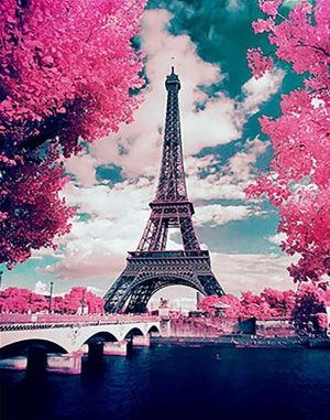 Cherry Blossoms Paris Paint By Numbers