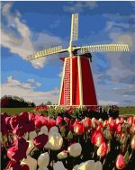 Tulips Field Windmill Paint By Numbers