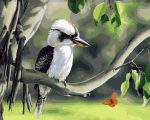 Kookaburra Bird On Stick Paint By Numbers