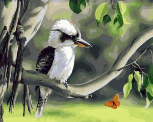 Kookaburra Bird On Stick Paint By Numbers