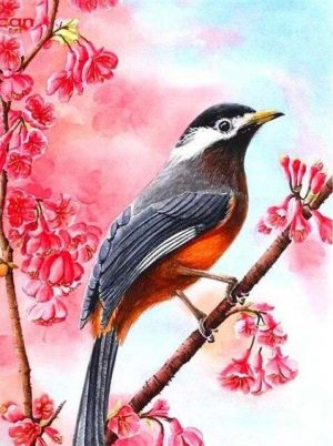 Bird On Branch Paint By Numbers