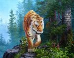 Siberian Tiger Paint By Numbers