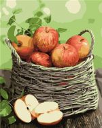Red Apples Basket Paint By Numbers