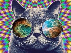 Trippy Cat Paint By Numbers