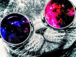 Cat With Galaxy Sunglasses Paint By Numbers