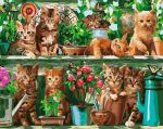 Kittens On The Shelf Paint By Numbers