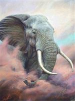 Bull Elephant Paint By Numbers
