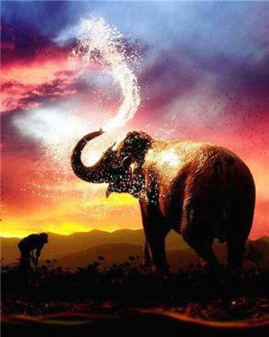 Elephant At Sunset Paint By Numbers