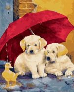 Dogs Under Umbrella Paint By Numbers
